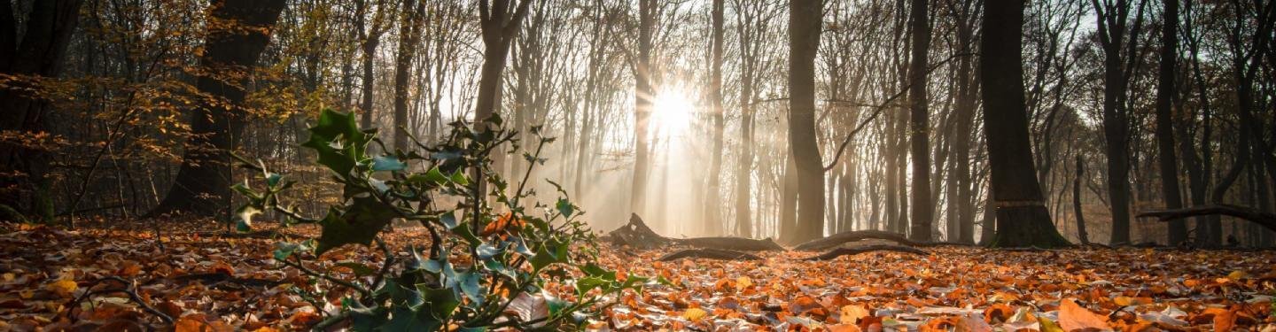 principles-of-ecotourism-banner